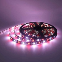 RGBW (300-SMD-5050) - 5m - 12v LED Strip - Full Roll